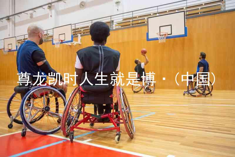 尊龙凯时人生就是博·(中国)